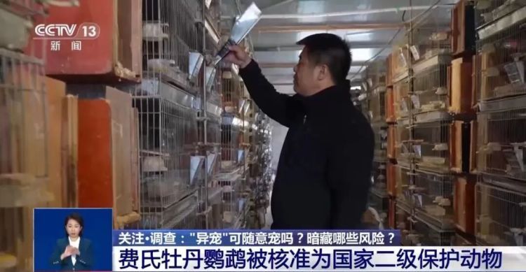 “异宠”不能随意宠!“神奇动物”暗藏哪些风险? “异宠”不能随意宠!“神奇动物”暗藏哪些风险?