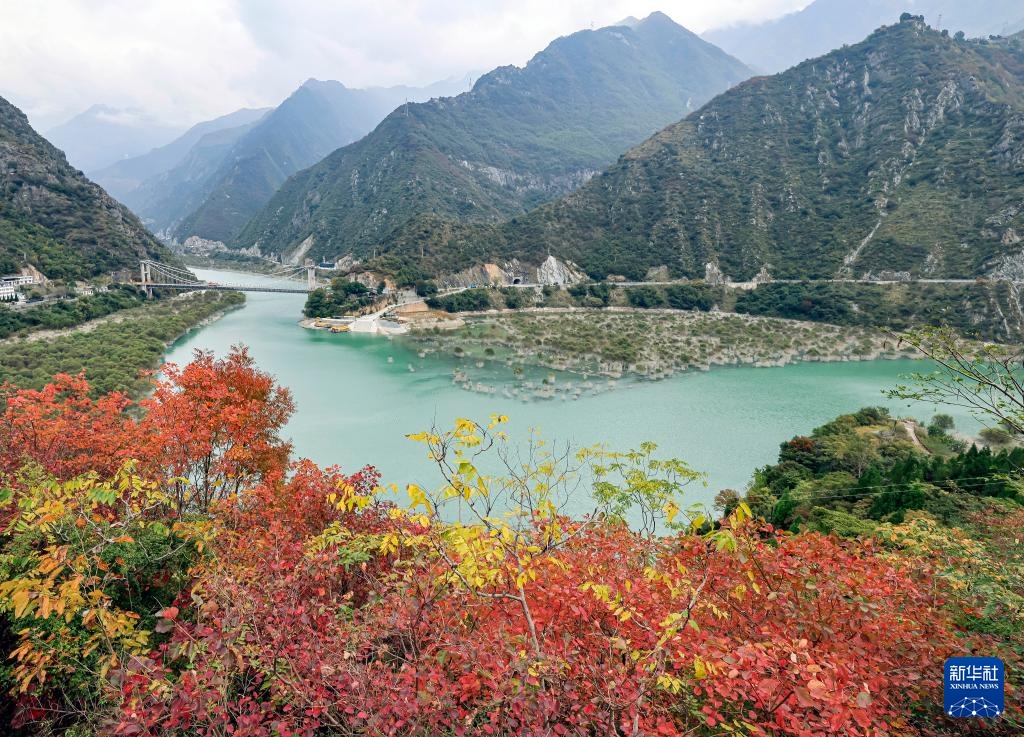 诗意中国丨碧涧流红叶 青林点白云