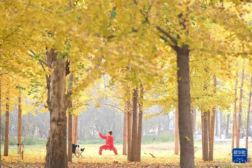 诗意中国丨碧涧流红叶 青林点白云
