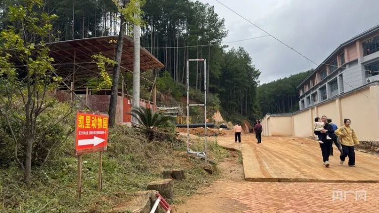 “没想到一守就是十年”！贵州深山里的动物园凭良心圈粉