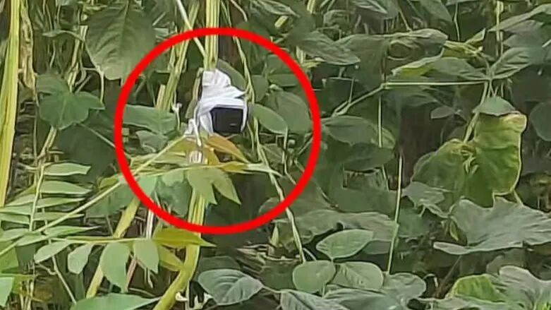 上海荒地惊现摄像头和12万现金？数小时蹲守后，可疑男子出现……