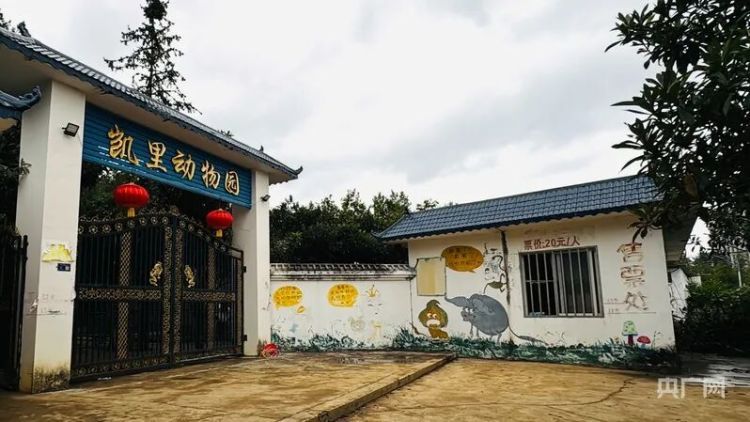 “没想到一守就是十年”！贵州深山里的动物园凭良心圈粉