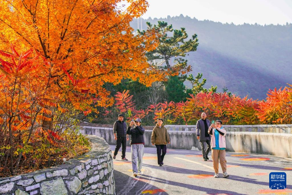 诗意中国丨碧涧流红叶 青林点白云