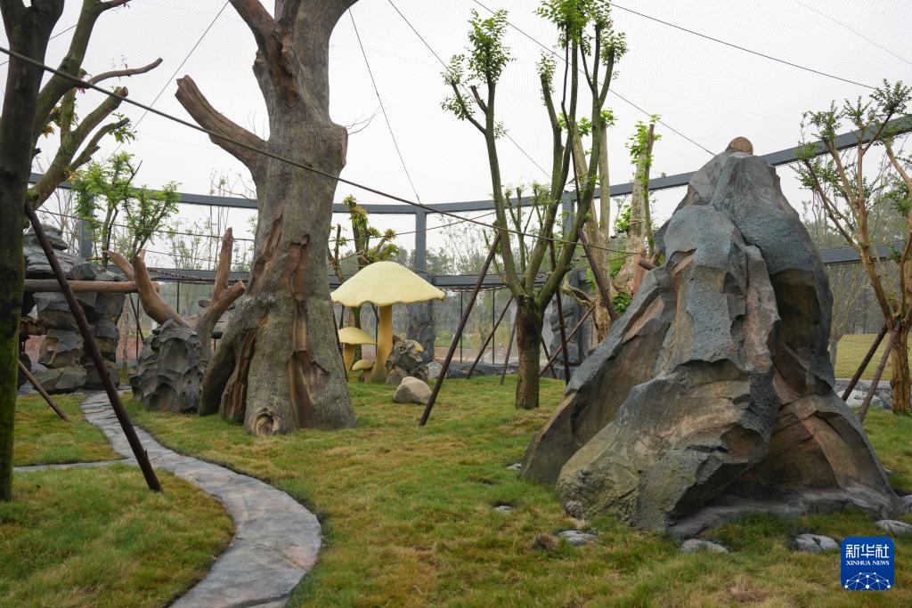 熊猫搬新“家” 我国再添一座大熊猫基地 熊猫搬新“家” 我国再添一座大熊猫基地