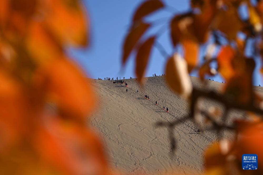 诗意中国丨碧涧流红叶 青林点白云