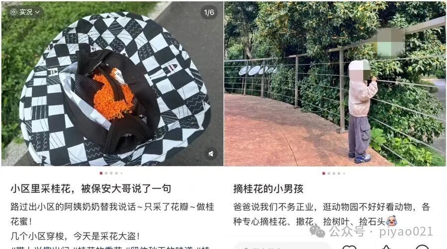 这两天,上海满城都是!千万别乱吃,容易中毒,有人可能还会过敏窒息…… 这两天,上海满城都是!千万别乱吃,容易中毒,有人可能还会过敏窒息……