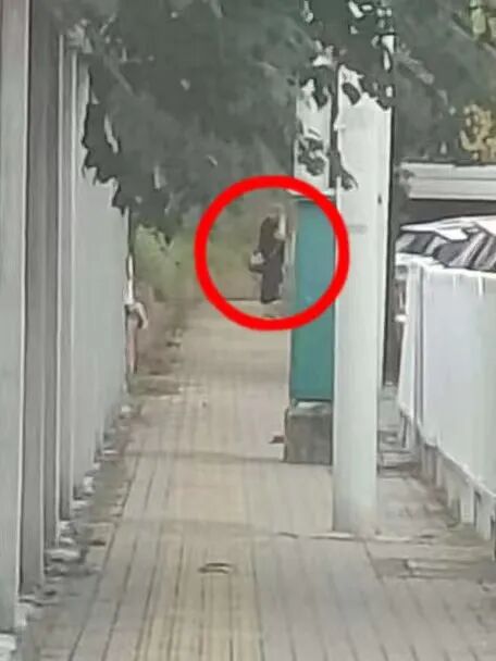 上海荒地惊现摄像头和12万现金？数小时蹲守后，可疑男子出现……