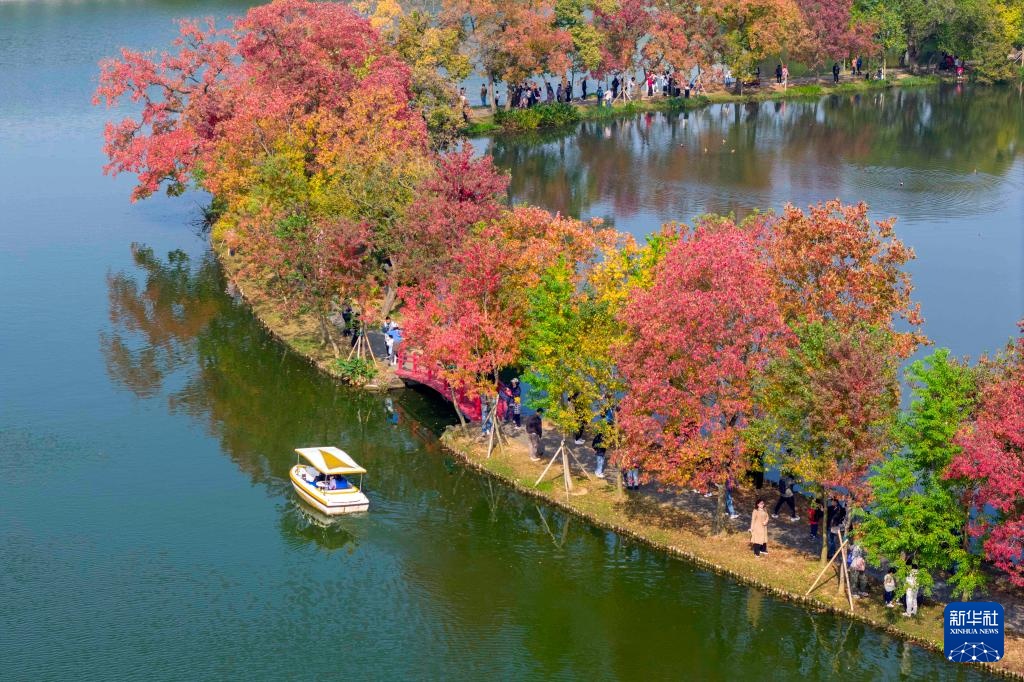 诗意中国丨碧涧流红叶 青林点白云