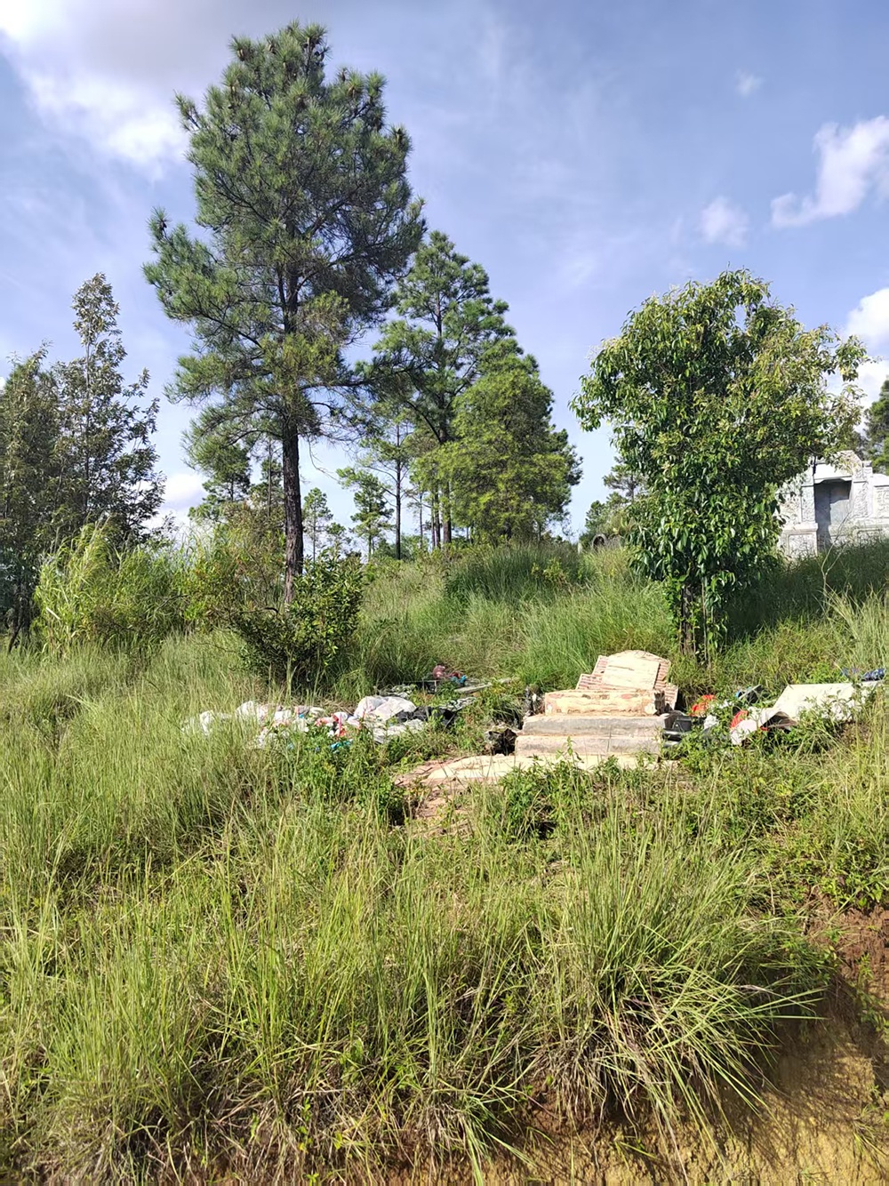 8岁男童坟墓因邻近他人祖坟遭破坏，警方：4人被拘留