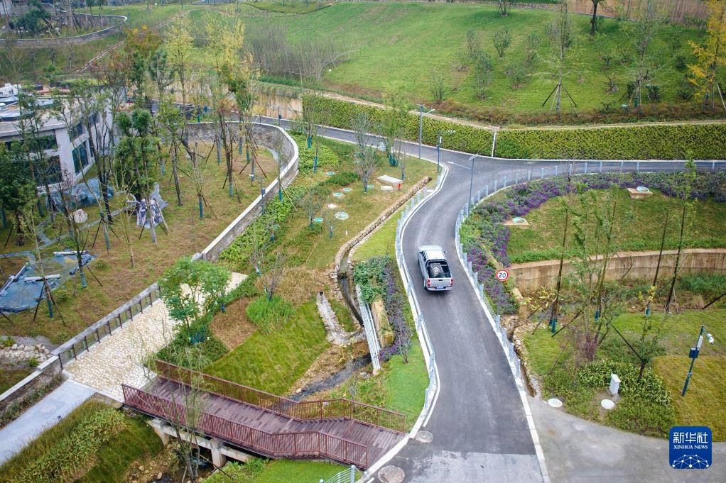 熊猫搬新“家” 我国再添一座大熊猫基地 熊猫搬新“家” 我国再添一座大熊猫基地