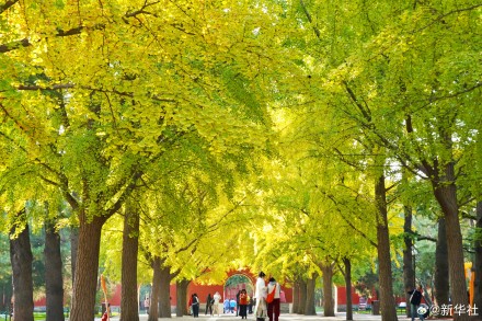 收藏!秋天是写在古都的诗篇 收藏!秋天是写在古都的诗篇
