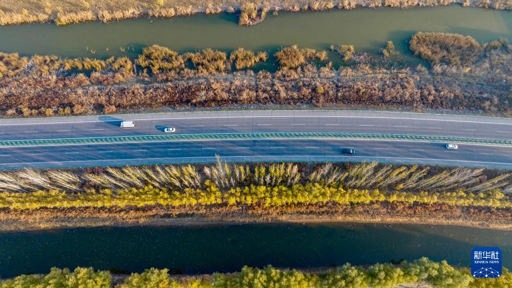 黄河秋韵 黄河秋韵