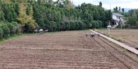 “稻油轮作”+“无人机播种”模式促增收 农机农技共绘油菜“丰产图”