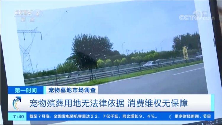 宠物殡葬乱象调查：3000元难买体面告别，无证经营与虚假火化何时休？