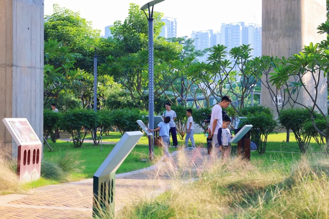 三条高铁并行！桥下还有“宝藏”