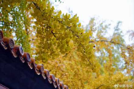 收藏!秋天是写在古都的诗篇 收藏!秋天是写在古都的诗篇