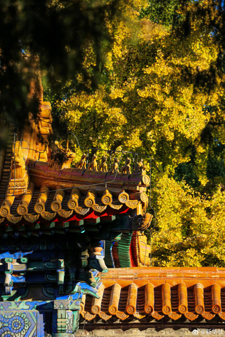 收藏!秋天是写在古都的诗篇 收藏!秋天是写在古都的诗篇