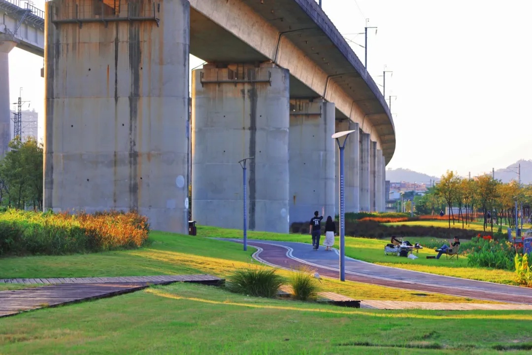 三条高铁并行！桥下还有“宝藏”