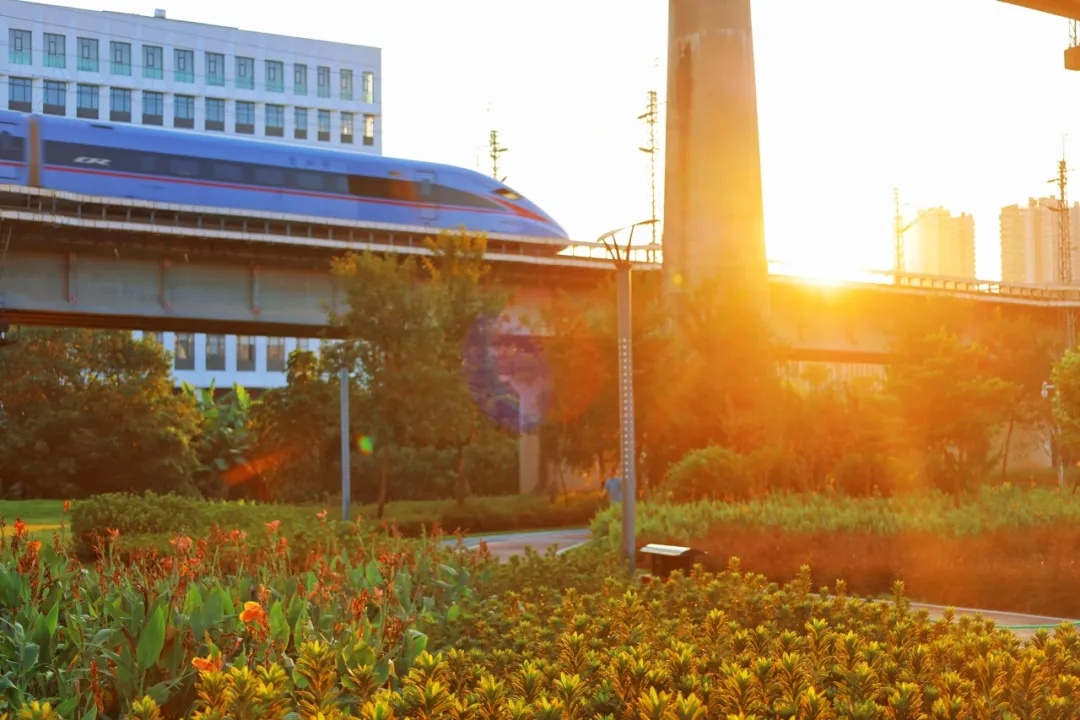 三条高铁并行！桥下还有“宝藏”