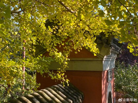 收藏!秋天是写在古都的诗篇 收藏!秋天是写在古都的诗篇