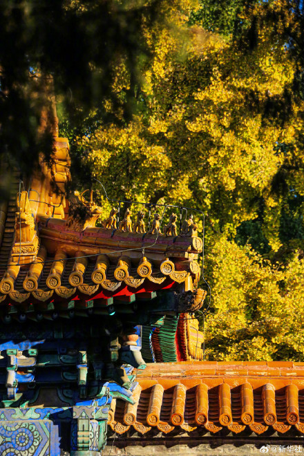 收藏秋日!秋天是写在古都的诗篇 收藏秋日!秋天是写在古都的诗篇