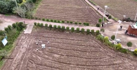 “稻油轮作”+“无人机播种”模式促增收 农机农技共绘油菜“丰产图”