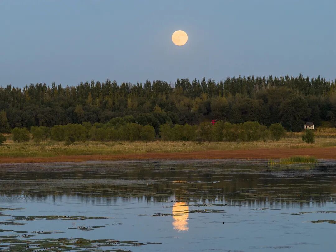 年度最大“超级月亮”来了！今晚记得抬头看（内附拍月小贴士）