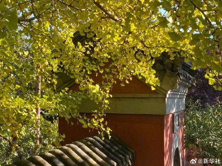 收藏秋日!秋天是写在古都的诗篇 收藏秋日!秋天是写在古都的诗篇