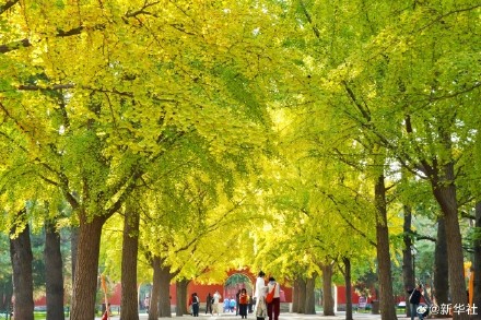 收藏秋日!秋天是写在古都的诗篇 收藏秋日!秋天是写在古都的诗篇