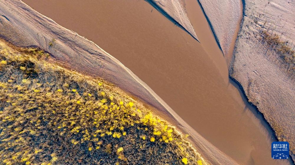 黄河秋韵 黄河秋韵