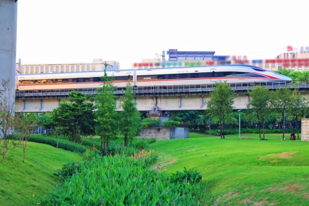 三条高铁并行！桥下还有“宝藏”