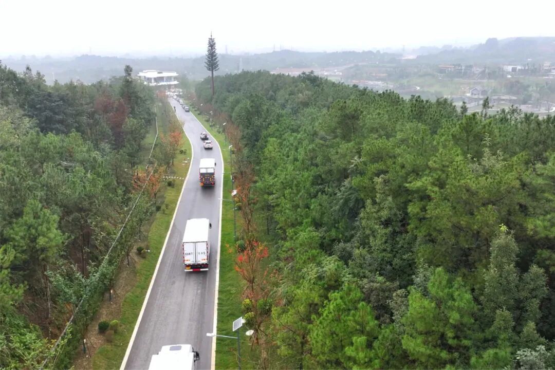 13只大熊猫“乔迁”绵阳！熊猫基地再+1