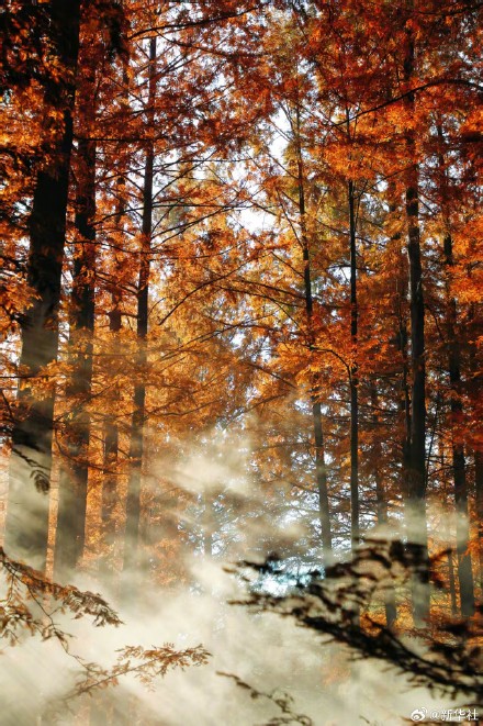 收藏!秋天是写在古都的诗篇 收藏!秋天是写在古都的诗篇