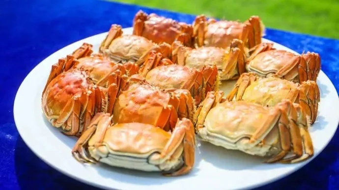 上海人期待的“顶流”美味，最佳赏味期还要再等等！为何今年这么晚→