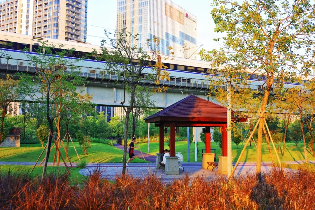 三条高铁并行！桥下还有“宝藏”