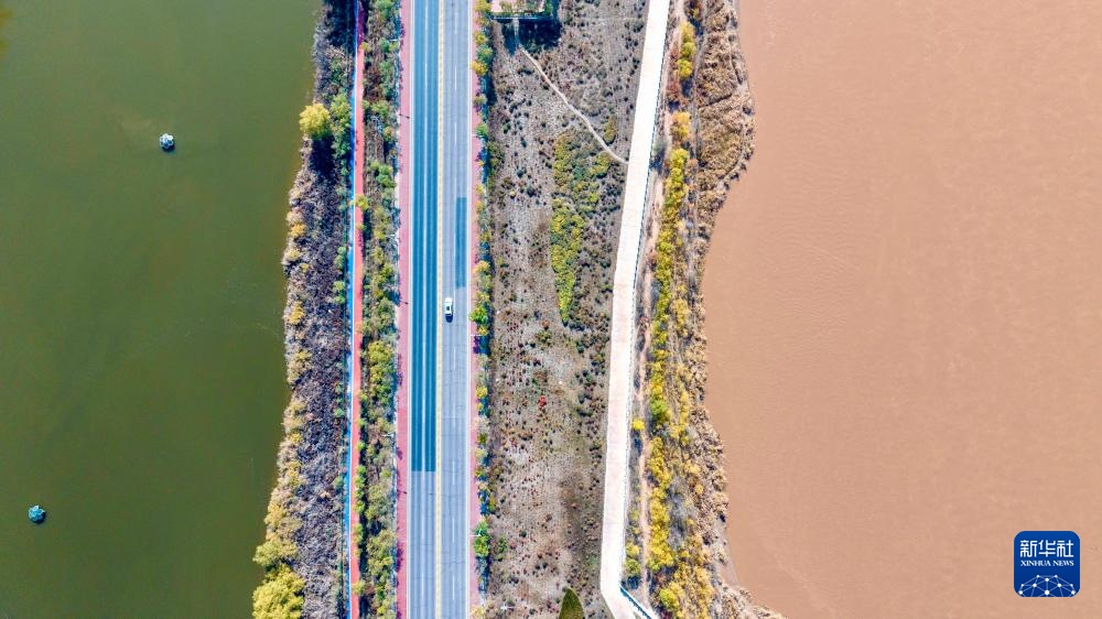 黄河秋韵 黄河秋韵