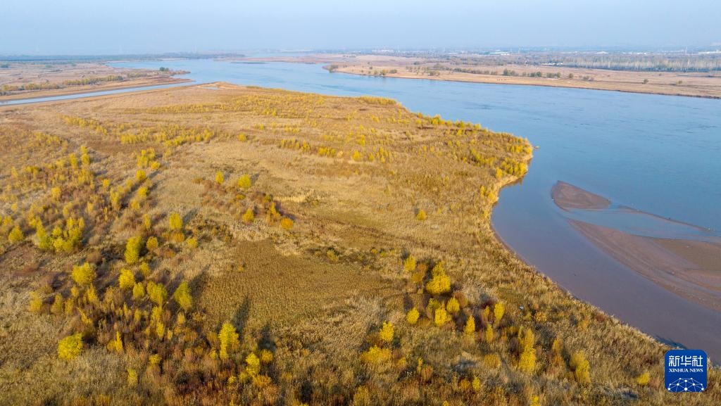 黄河秋韵 黄河秋韵
