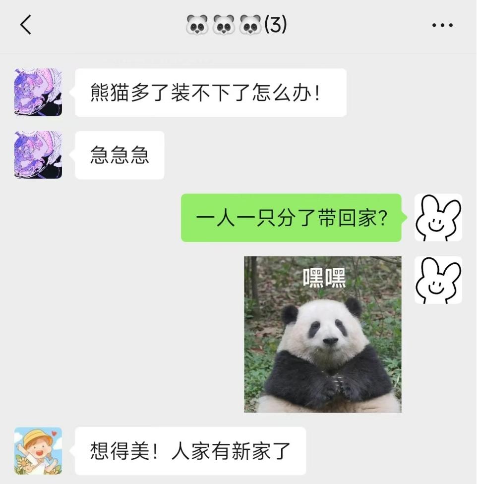 大熊猫搬家！网友：什么时候能去暖房？