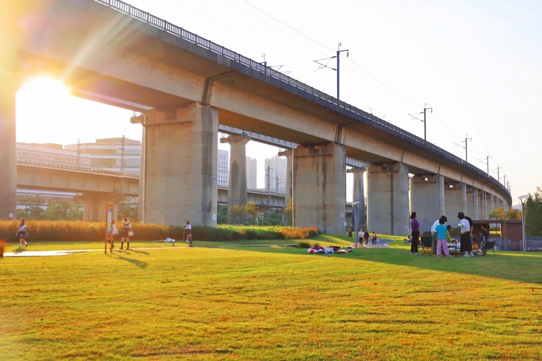 三条高铁并行！桥下还有“宝藏”