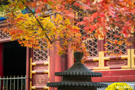 收藏秋日!秋天是写在古都的诗篇 收藏秋日!秋天是写在古都的诗篇