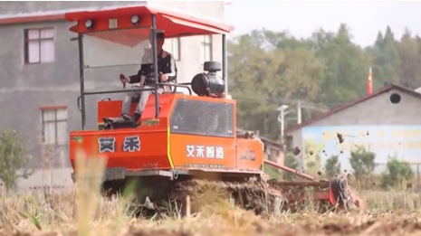 “稻油轮作”+“无人机播种”模式促增收 农机农技共绘油菜“丰产图”