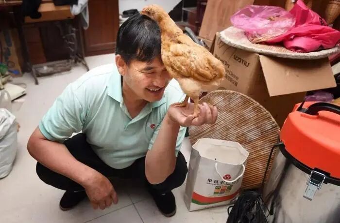 胜诉四年网暴案，“大衣哥”朱之文发声：“忍得了攻击我，忍不了攻击家人”