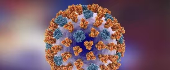 浙江一男孩没出门也中招了！这个病进入高发期，杭州医生提醒：警惕“隐形传播”