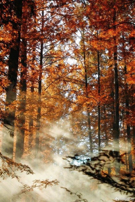 收藏秋日!秋天是写在古都的诗篇 收藏秋日!秋天是写在古都的诗篇