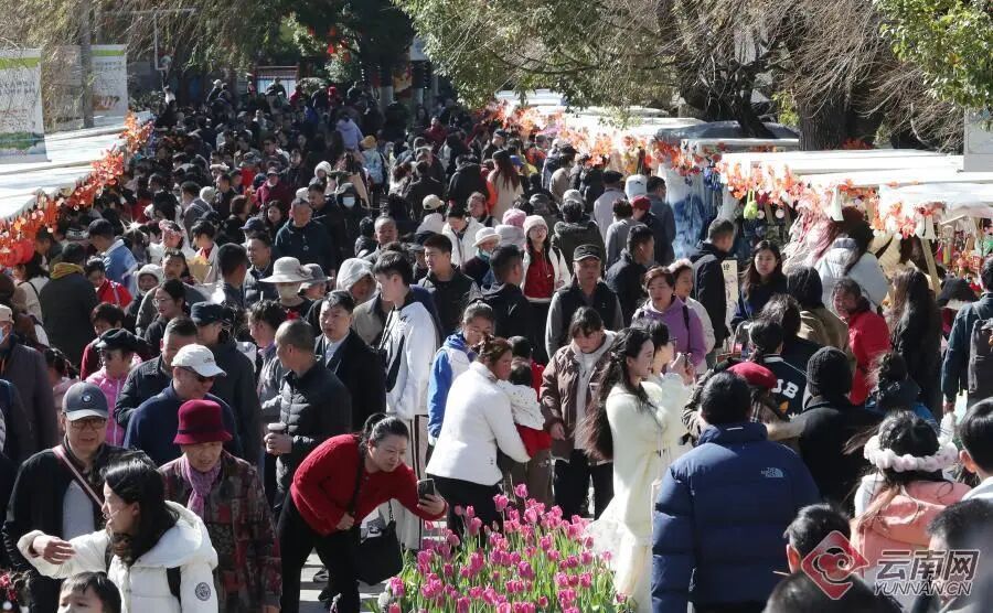 “请2休11”攻略出现！云南这里成大热门→