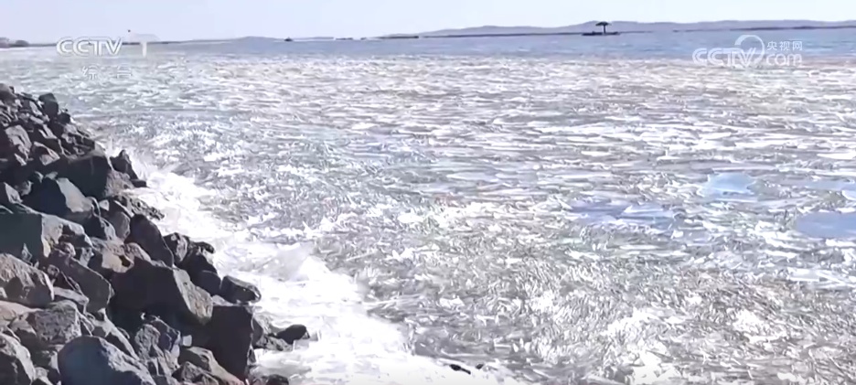 多地冬日美景激发冰雪活力 “冷”资源点燃文旅市场“热”消费