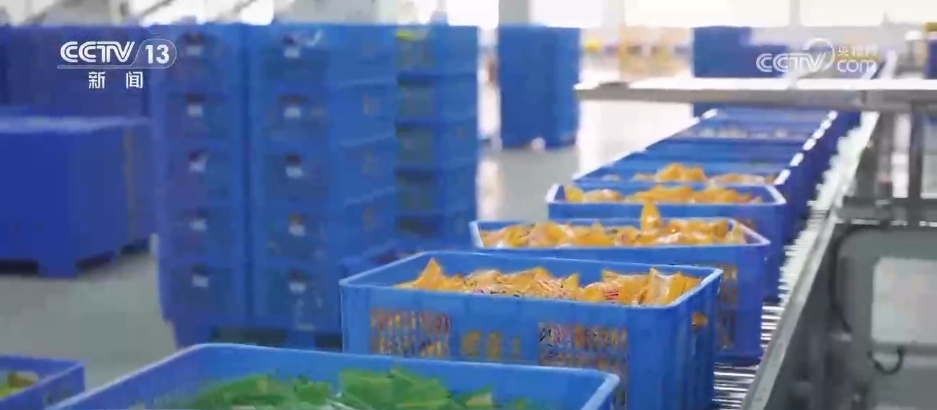 中外记者“沉浸式打卡”柳州产业园 探究广西小吃如何实现出海又“出圈”