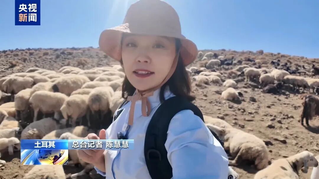 月薪两三万放羊,找不到人,急 月薪两三万放羊,找不到人,急