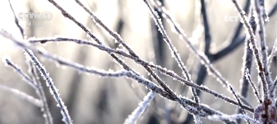 多地冬日美景激发冰雪活力 “冷”资源点燃文旅市场“热”消费