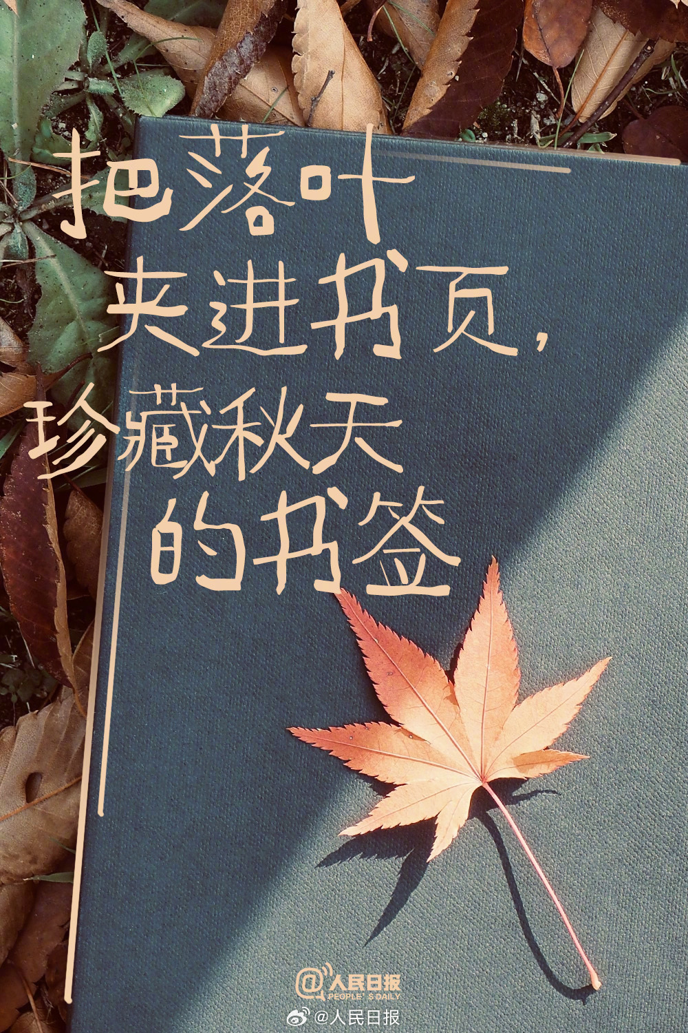 明天立冬，要对2025的秋天说再见了